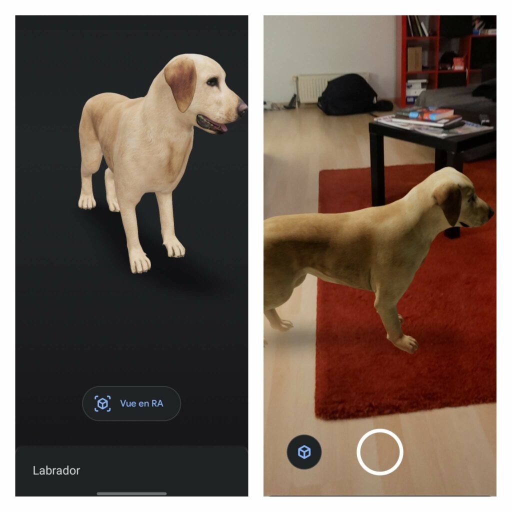 voici à quoi peut représenter la RA des animaux 3D de Google